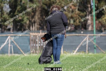 IMG_0198.jpg