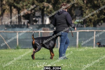IMG_0204.jpg
