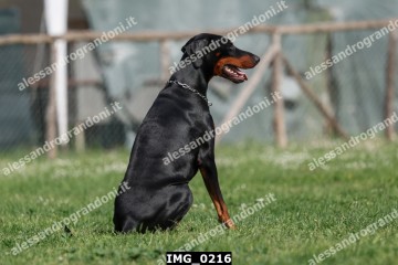 IMG_0216.jpg
