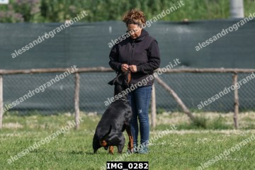 IMG_0282.jpg