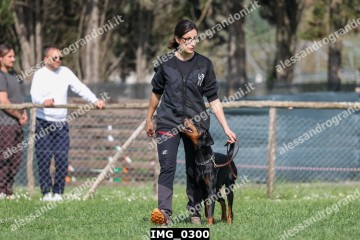 IMG_0300.jpg
