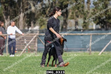 IMG_0323.jpg