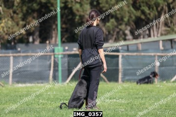 IMG_0357.jpg
