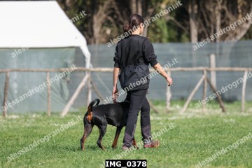 IMG_0378.jpg