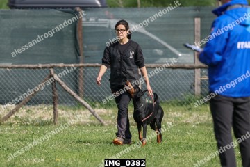 IMG_0382.jpg