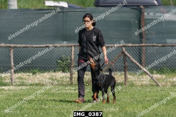 IMG_0387.jpg