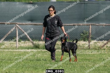IMG_0391.jpg