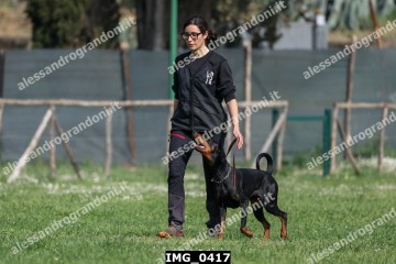 IMG_0417.jpg