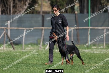IMG_0422.jpg