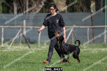 IMG_0427.jpg