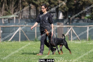 IMG_0454.jpg