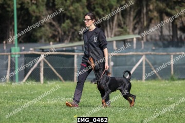 IMG_0462.jpg