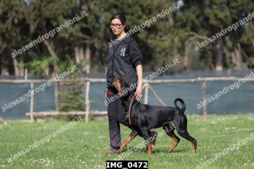 IMG_0472.jpg