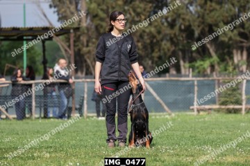 IMG_0477.jpg