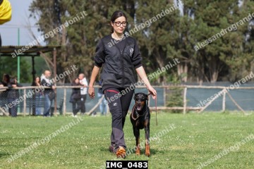 IMG_0483.jpg