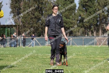 IMG_0499.jpg