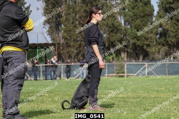 IMG_0541.jpg