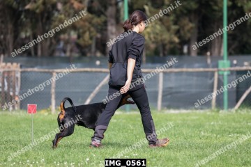 IMG_0561.jpg