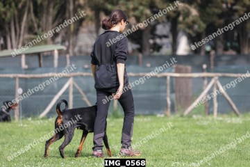 IMG_0568.jpg