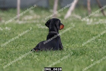 IMG_0628.jpg