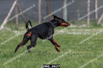 IMG_0637.jpg