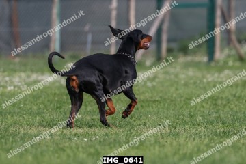 IMG_0641.jpg