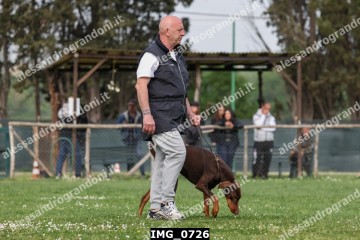 IMG_0726.jpg