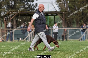 IMG_0728.jpg