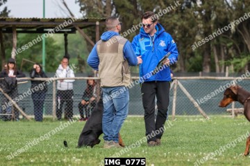 IMG_0775.jpg