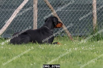 IMG_0786.jpg