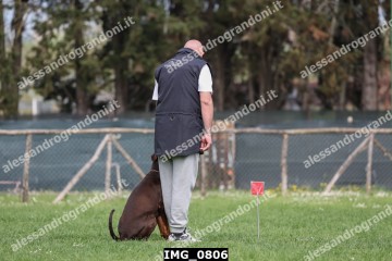 IMG_0806.jpg