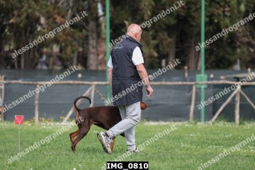 IMG_0810.jpg