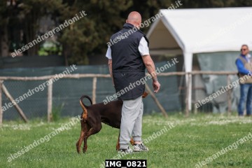 IMG_0821.jpg