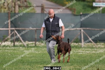IMG_0842.jpg