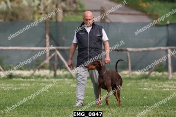IMG_0847.jpg