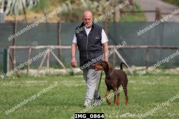 IMG_0864.jpg