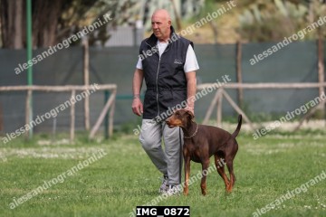 IMG_0872.jpg