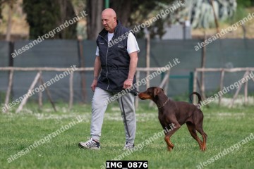 IMG_0876.jpg