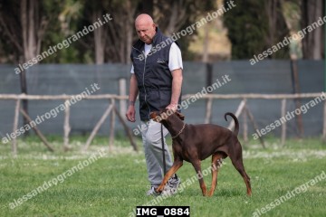IMG_0884.jpg