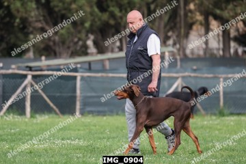 IMG_0904.jpg