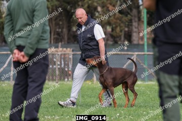 IMG_0914.jpg
