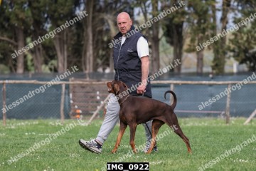 IMG_0922.jpg