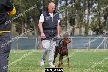 IMG_0948.jpg
