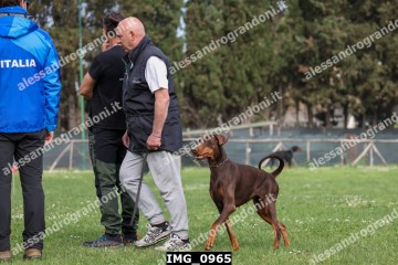IMG_0965.jpg