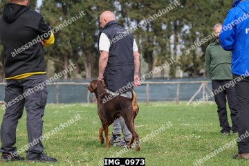 IMG_0973.jpg