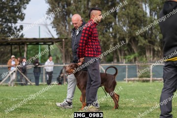 IMG_0983.jpg