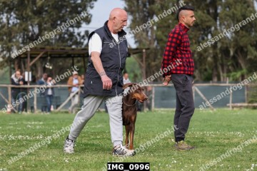 IMG_0996.jpg
