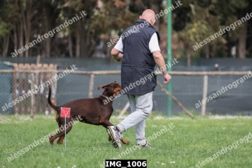 IMG_1006.jpg