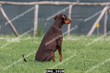 IMG_1028.jpg