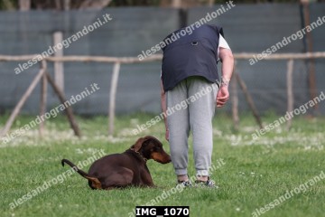 IMG_1070.jpg